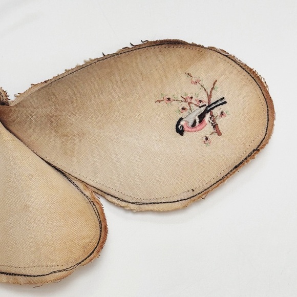 Rare! Mister Finch Textile Moth - Picture 3 of 12